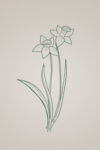 Spring Flower Trio Device Wallpaper Danielle Verderame Marketing