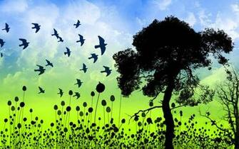 Screensaver Grass Birds Desktop Straw Wallpaper Jpg