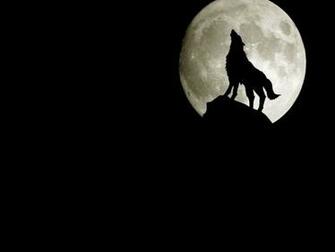 3d Wolf Wallpaper Pictures