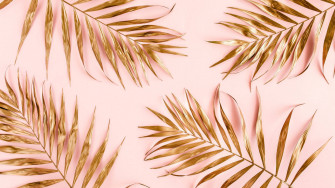 Baby Pink Wallpaper