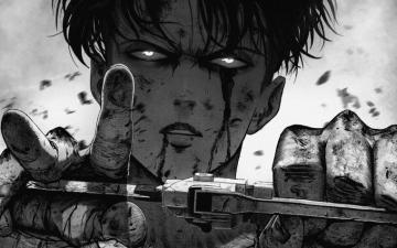Levi Ackerman Wallpaper Enjpg