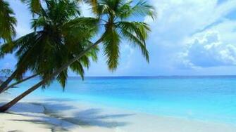 Maldives Beach Scenery Wallpaper