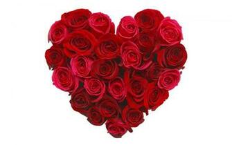 Red Roses Heart Wallpaper Stock Photos