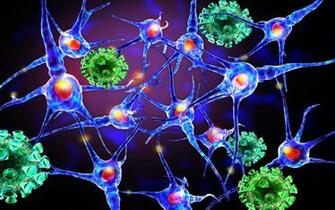 Foods That Will Boost Your Immunity Funbuzztime