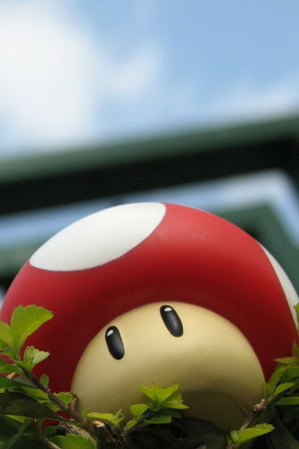iPhone Wallpaper Daily Mobile