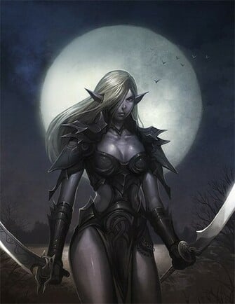 Dark Elf By Njoo