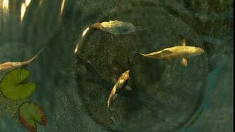 3d Koi Pond Android Apps On Google Play
