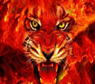 Best Image About Flaming Pictures