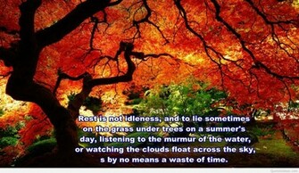 Wallpaper Nature Quotes And Image HD