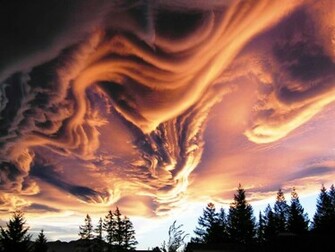 Most Popular All That Is Interesting Pictures