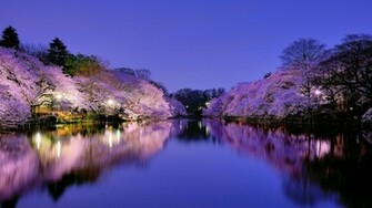 Wallpaper Japan Osaka City Park Lake Light