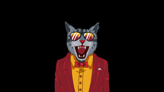 Cool Cat Minimal 4k HD Artist Wallpaper Image Background
