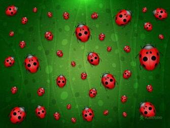 Ladybug Background Themes