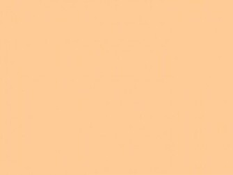 Related Pictures Light Orange Or Peach Colored Leather Close Up