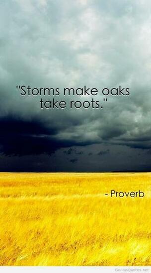 New Proverb Wallpaper Quote Genius Quotes