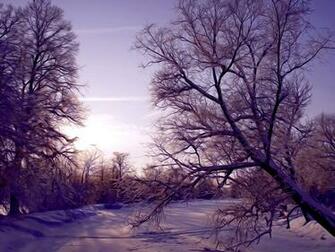 Christmas Snow Scene Wallpaper iPhone