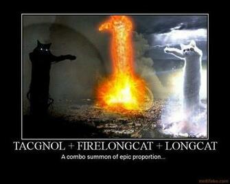 Epic Long Cats Is Ccombo Summon Of Proportion