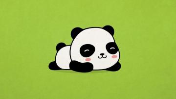 Kawaii Anime Panda Wallpaper 4k HD