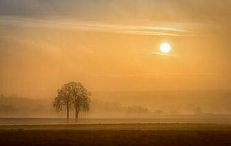 Wallpaper France Alsace Region Arbre Image For Desktop