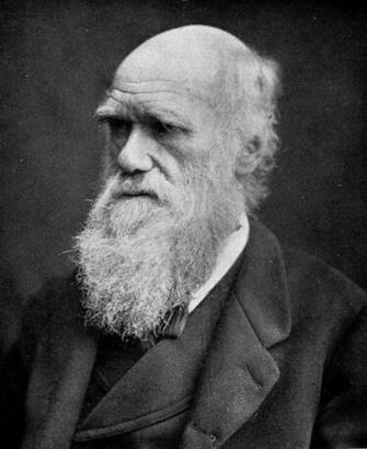 Darwin Correspondence Project Surface Impression