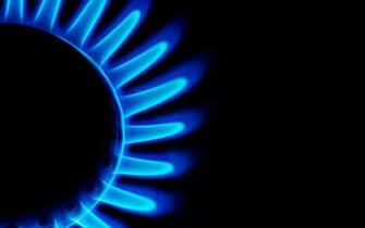 Wallpaper Blue Fire Burner Gas Combustion Flame Black