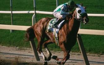 Beautiful Wallpaper Racing Horse