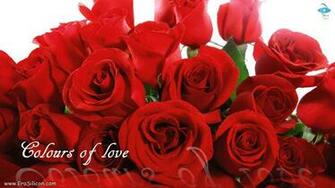 Love Flowers Wallpaper