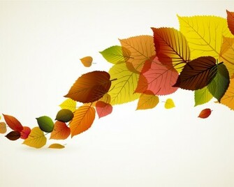 Fall Leafs Desktop Pc And Mac Wallpaper