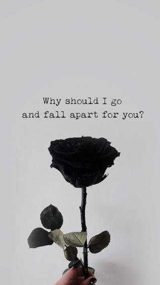 Black Rose Aesthetic Wallpaper