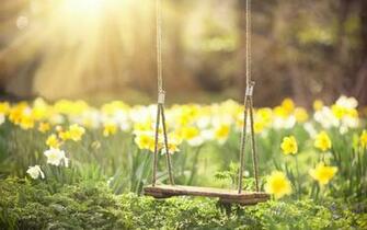 Empty Swing Wallpaper