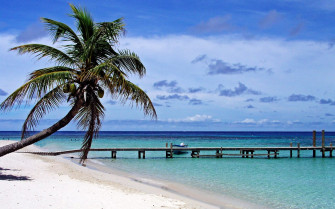 Playa De Roatan Isla La Bahia Honduras Wallpaper