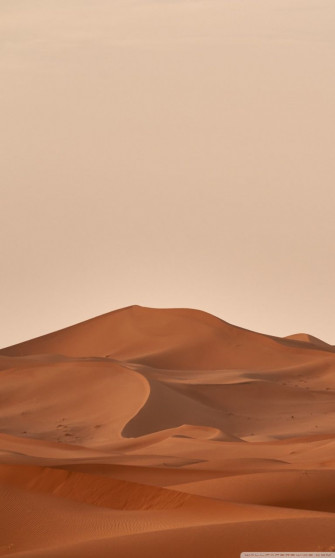 Desert Aesthetic Wallpaper