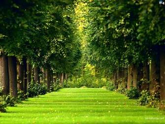 Landscapes Wallpaper