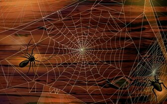 Wallpaper Pumpkins Witches Spider Web Bats Ghosts Collection