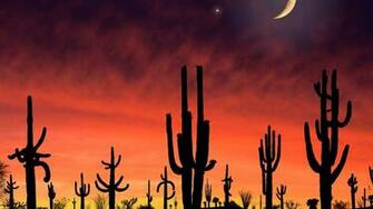 Arizona Wallpaper Saguaro National Park In For