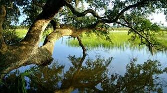 Summer Lake Desktop Pc And Mac Wallpaper