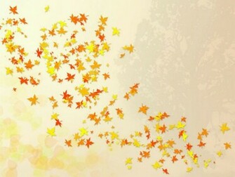 Wallpaper Ngawor Cute