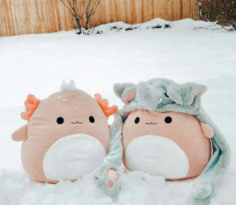 Squishmallow Background X Wallpaper