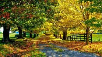 Season Beauty Wallpaper Winter Autumn Summer Spring Gif Flower