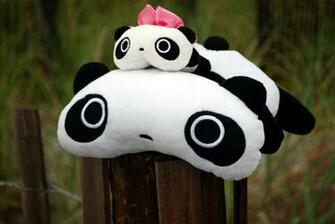 Tare Panda Wallpaper