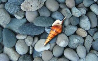 Hot Pebbles Pictures Gsfdcy