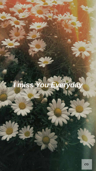 Daisy Aesthetic Wallpaper