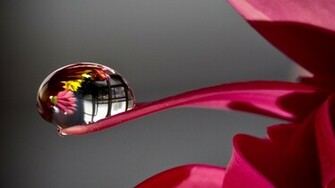 Imac Background Nature Wallpaper HD Background Desktop