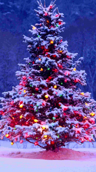 Christmas iPhone Wallpaper
