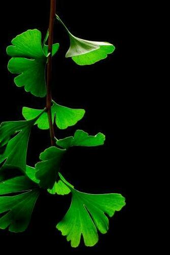 Cool iPhone Wallpaper HD