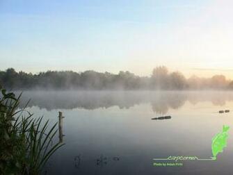 Fishing Screensavers