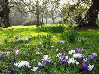 Beautiful Spring Scenes Image Search Results