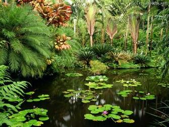 Botanical Gardens Wallpaper Christian And Background