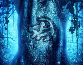 The Lion King HD Wallpaper Background Image