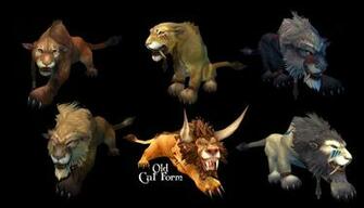 Wow Feral Tauren And Female By Whisperpntr